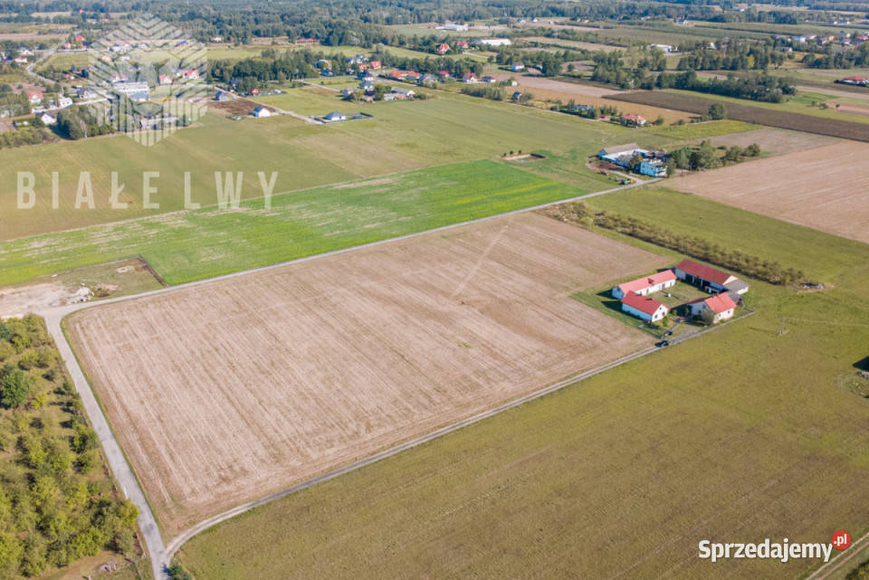 Grunt 1000m2 Prażmów Sprzedaż