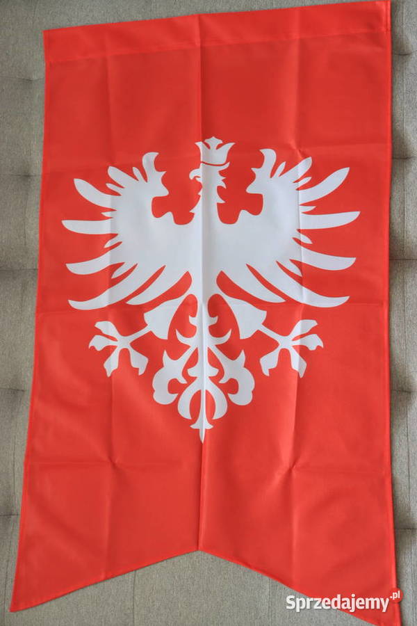 Flaga Powstania Wielkopolskiego Warszawa