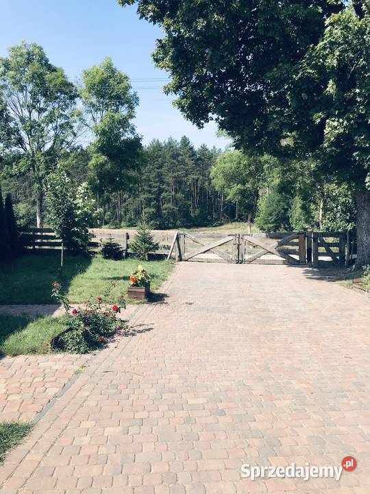 Dom na Kaszubach lesie pomorskie sprzedam
