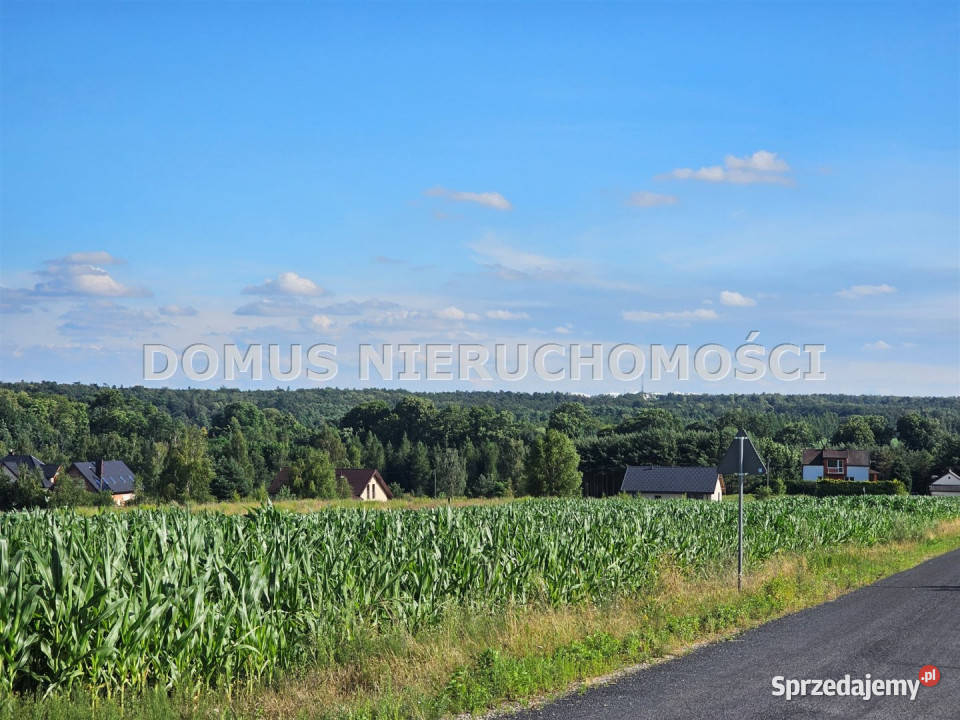 Działka Tworzyjanki 1500m2 asfalt