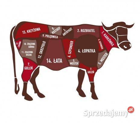 WOŁOWINA SPRZEDAŻ HURT Zgierz