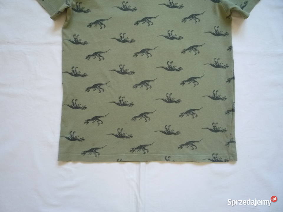 HM 134140 Zielona khaki Koszulka Dinozaury Bluzki, koszulki i kaftaniki Szczecin