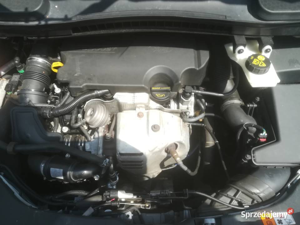 FORD TOURNEO CONNECT 10 2014 6bDach panorama Bydgoszcz