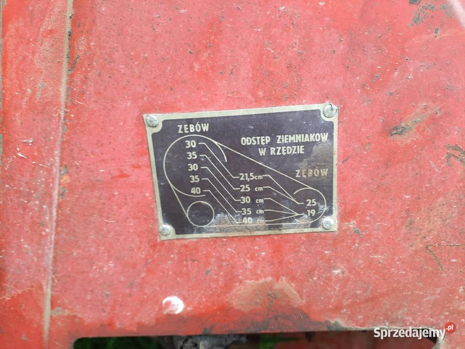 Sadzarka do ziemniaków Czeska