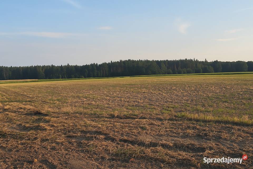 Działki Budowlane w Dogodnej Lokalizacji Gorzyce Wielkie