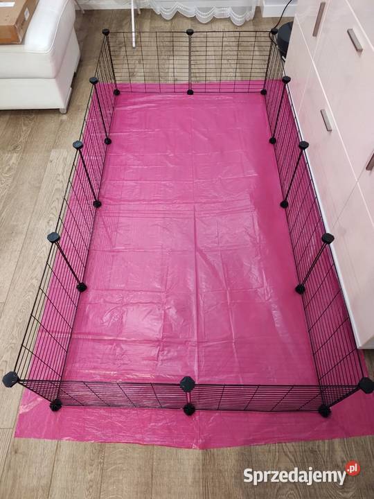 Kojec świnki morskiej królika wybieg klatka 143 Pobiedziska sprzedam