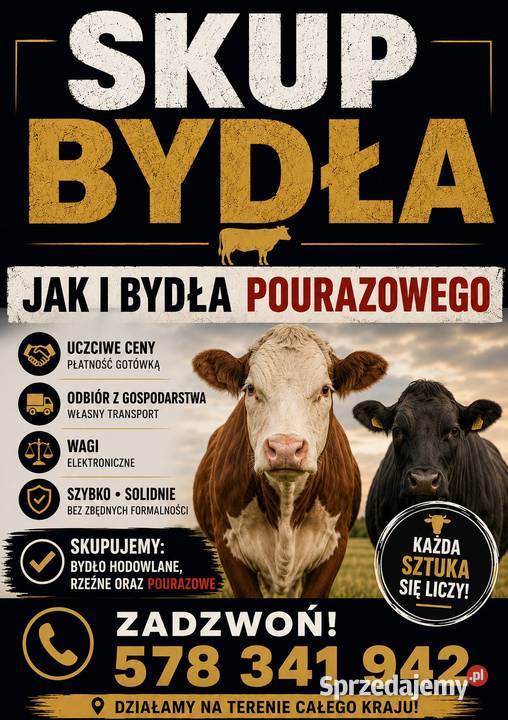 Skup bydła cieląt bydła pourazowego Stanin