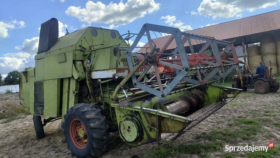 Claas Mercator 50 Krzywica