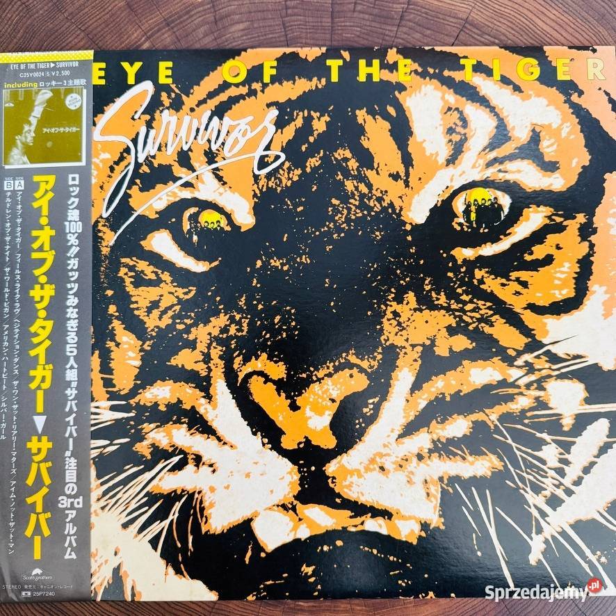 Eye Of The Tiger Ost survivor NMNM Japan Obi LP Gdańsk sprzedam