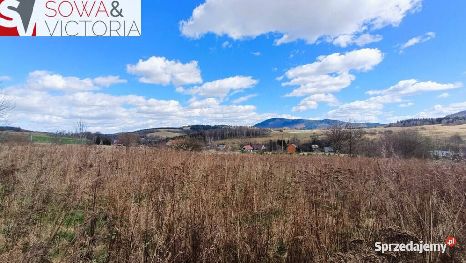 Słoneczna widokowa działka Sprzedaż Jabłów