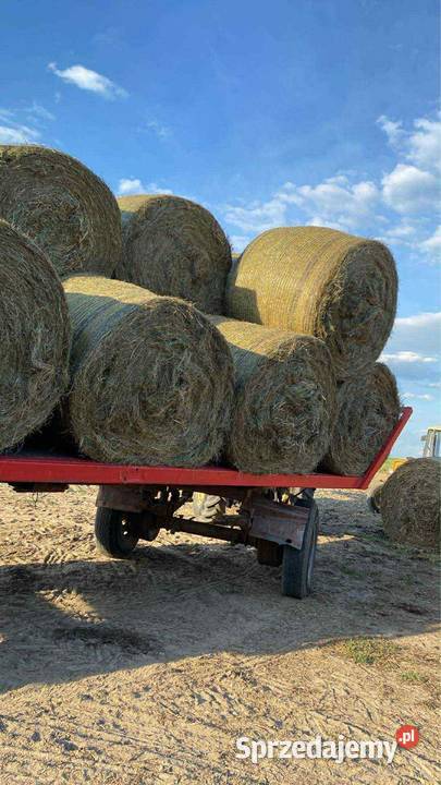 Sprzedam siano z 2025 roku sprzedam