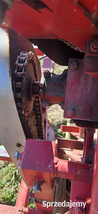 Kombajn do czosnku małopolskie Dąbrowa Tarnowska