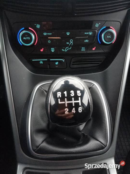 Kuga mały przebieg Lubczyna