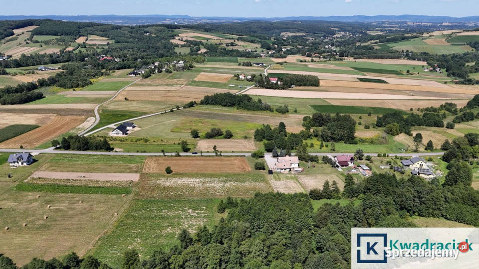Grunt 45000m2 Kopytowa podkarpackie