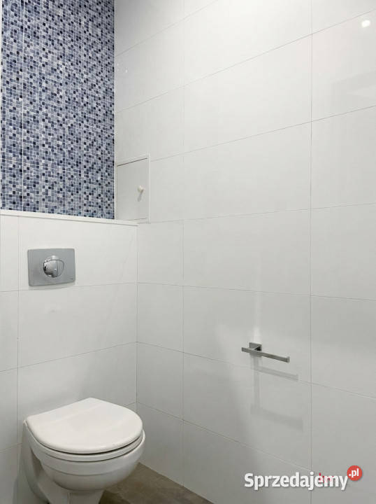 Lokal Poznań Grunwaldzka 42m sprzedam