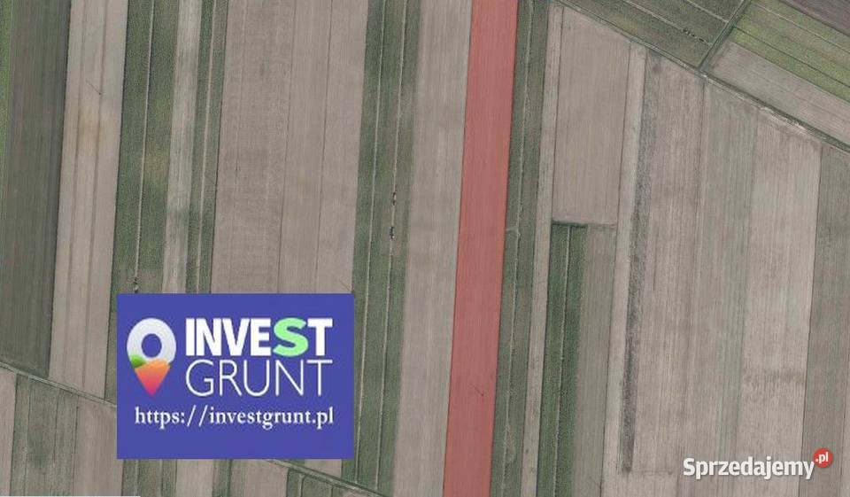 1342 ha przetarg na dzierżawę gruntów rolnych 134200m2 Dorbozy