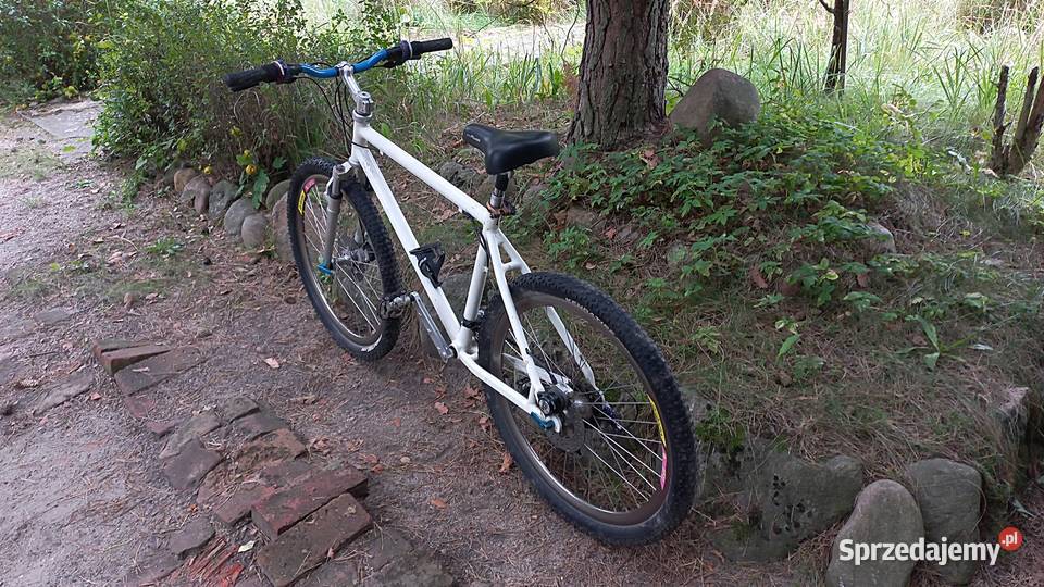 Profesjonalny Alu Rower Górski Mtb Sram 90 Rond Wołów