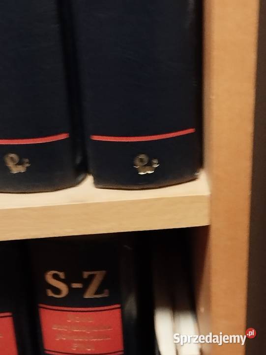 regał z litego drewna duży wysoki biblioteczka Poznań