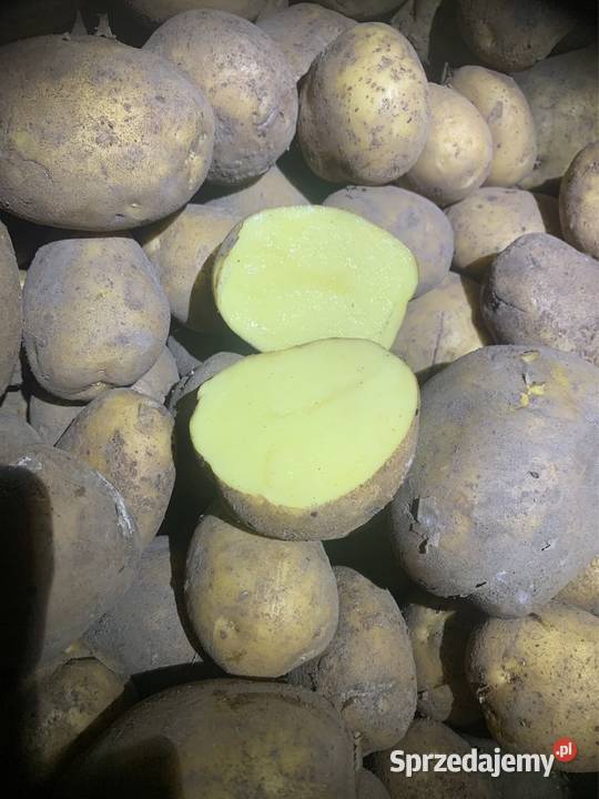 Ziemniaki jadalne Michalina lubelskie