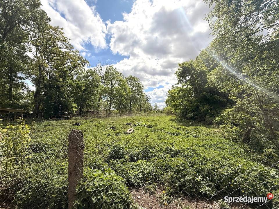 Sprzedam gospodarstwo rolne z domem o pow 31046 Nowe Budki