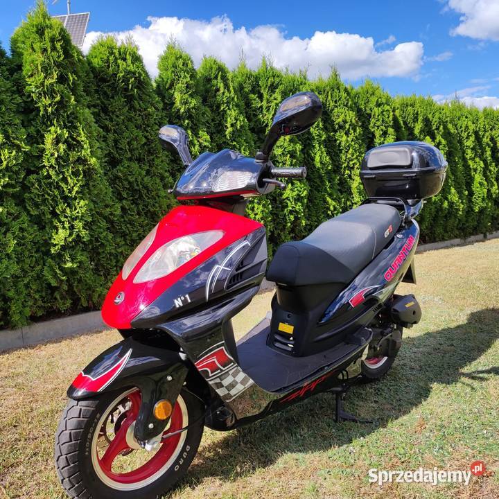 Skuter Zipp Quantum GT5 Strzegowo