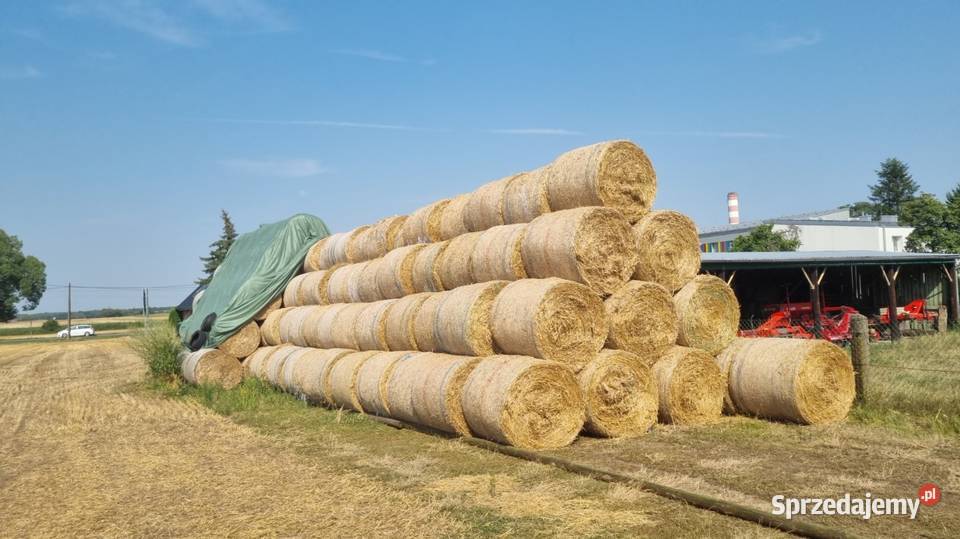 Słoma 120 SUPER ZGNIOT 200 BAR John Deere 592 opolskie Dobrzeń Mały