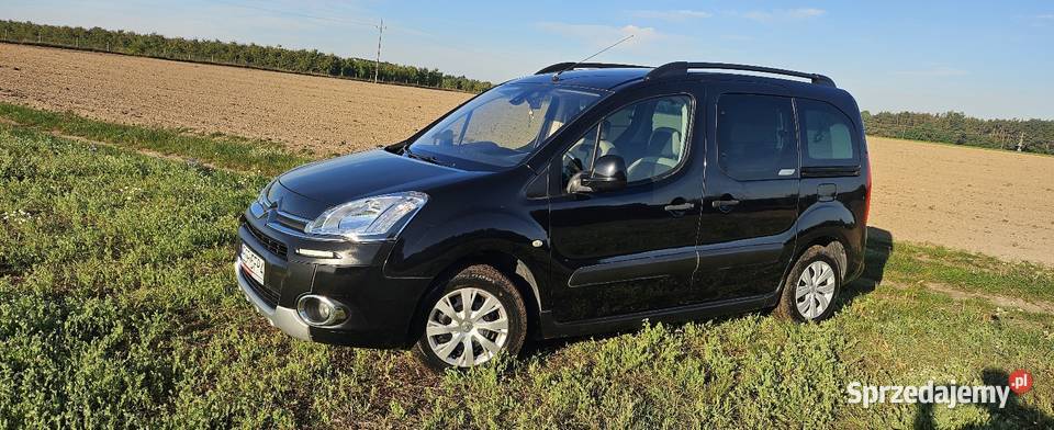 Citroen Berlingo XTR 16 HDI łódzkie Brudzewice