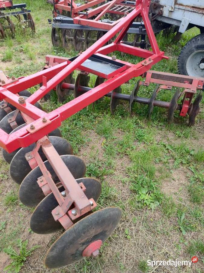 Talerzówka nieuszkodzony Śniadka Druga