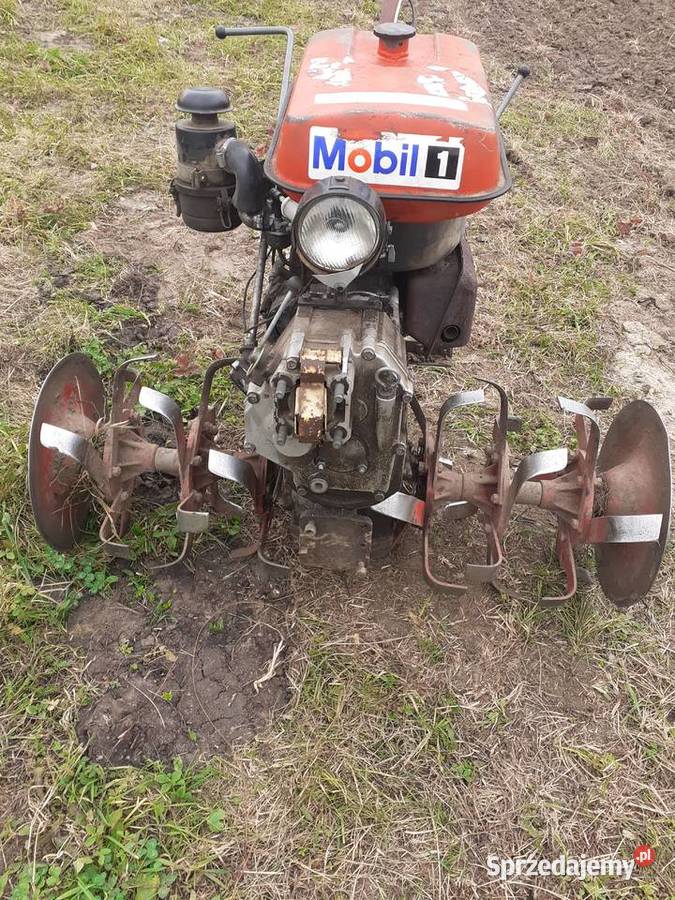 gryzałka Polska Mesko RJS Oleśnica