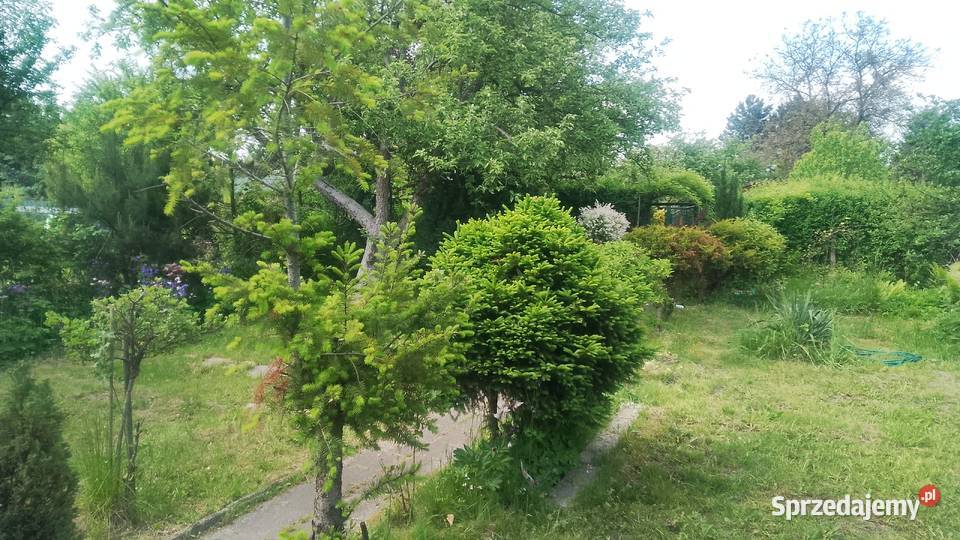 Ogródek działkowy 3 ary Katowice obok basenu sprzedam