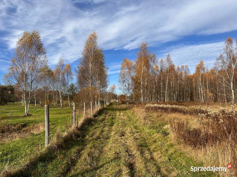 Działka budowlana Wymiarki