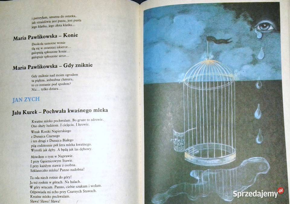 Księga parodii Danuta Sykucka Stanisław Chełm sprzedam