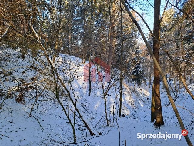 sprzedaży gruntu Żyznów 10400m2