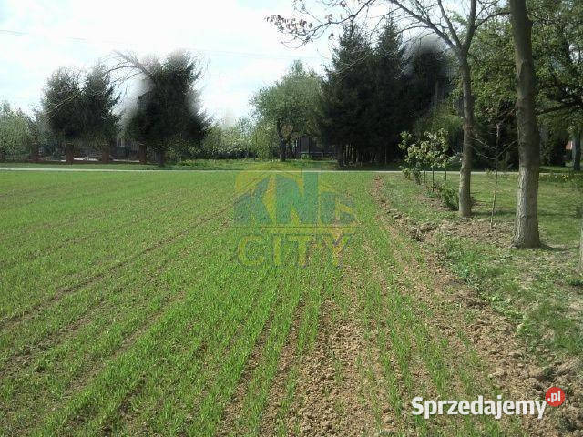 Sprzedam działkę pod bud jednorodzinne Grunty i działki lubelskie Piotrowice Wielkie sprzedam