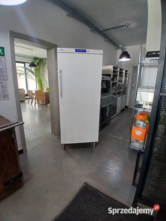 Szafa mroźnicza LIEBHERR ProfiLine GG 5210 I 472 Gastronomia Warszawa