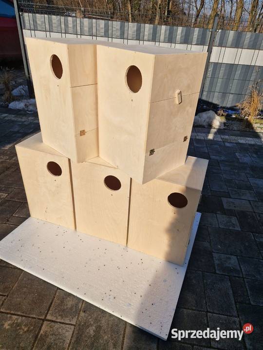 Budki lęgowe Dla ptaków