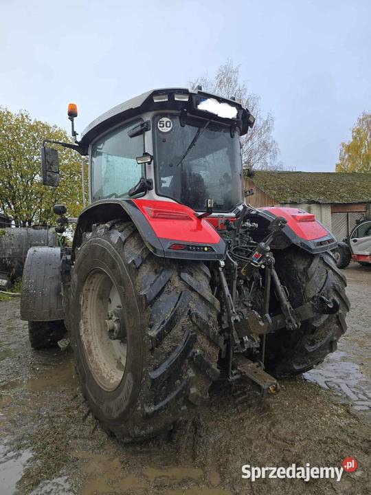 Massey Ferguson 8s245 dyna VT vario Sokoły