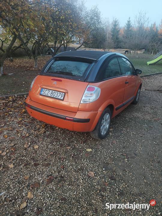 Citroen C3 pluriel C3 Pluriel Borowno