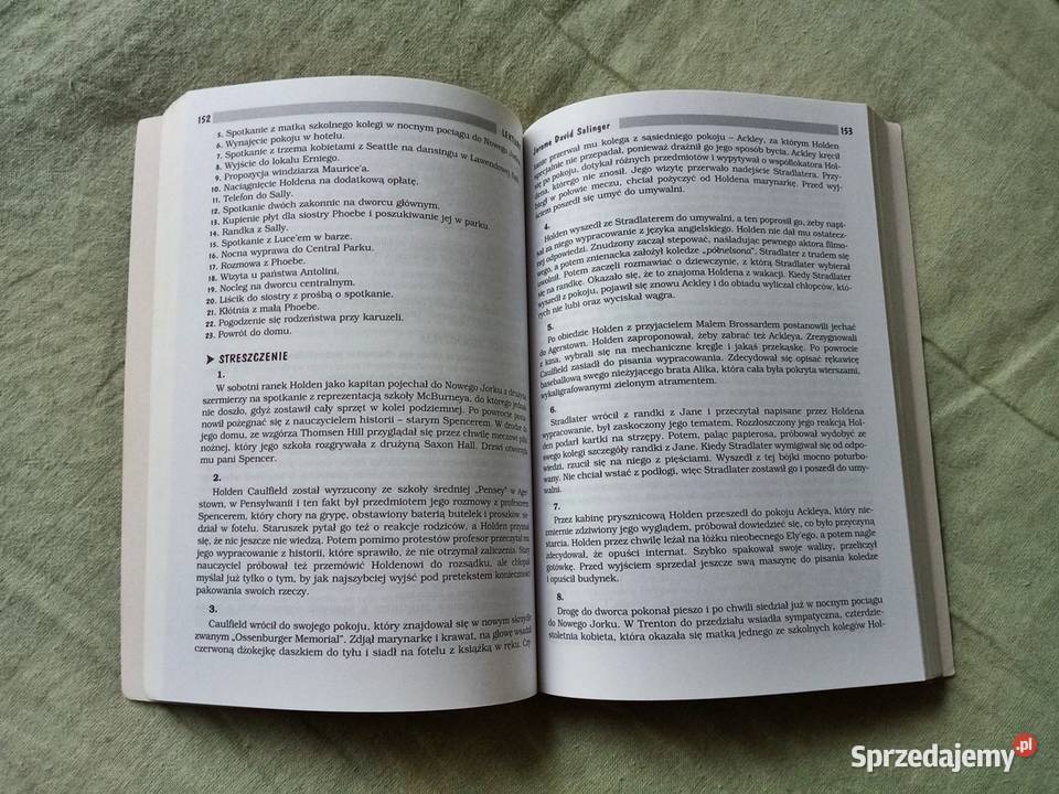 Język Polski Opracowania Gimnazjum Klasa 3 - SUPER stan! Sosnowiec
