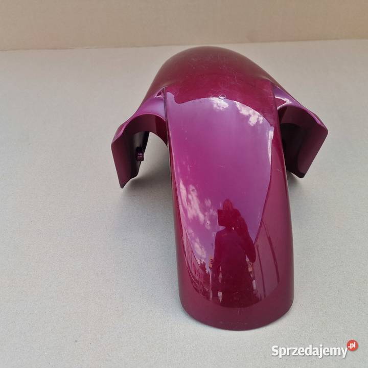 HONDA CBR 1000 XX BLACKBIRD BŁOTNIK PRZÓD Bieleń