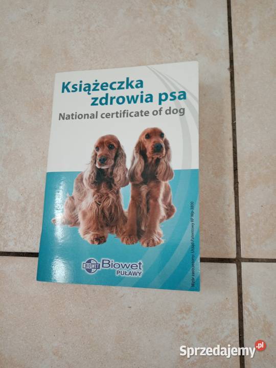 Sprzedam owczarka niemieckiego długowłosego lubelskie Puławy