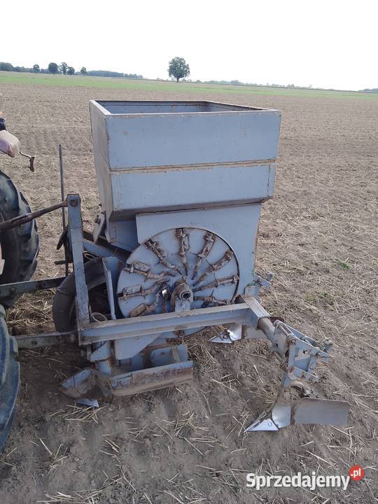 Sadzarka do ziemniaków czeska Ćwierdzin sprzedam