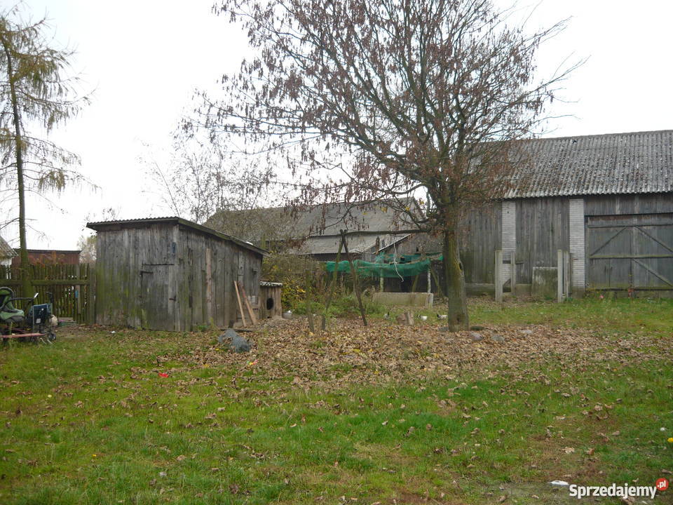 Siedlisko między Szydłowcem a Orońskiem Świniów