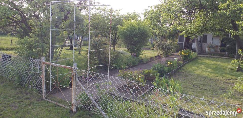 Ogródek działkowy działka ROD Majówka Legnica