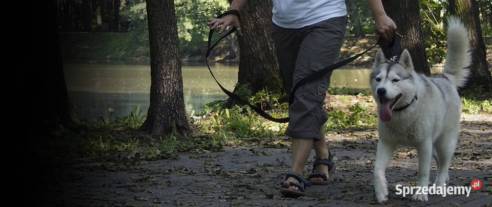 Klasyczna Smycz Psa Gentle Walk PP Hifica śląskie