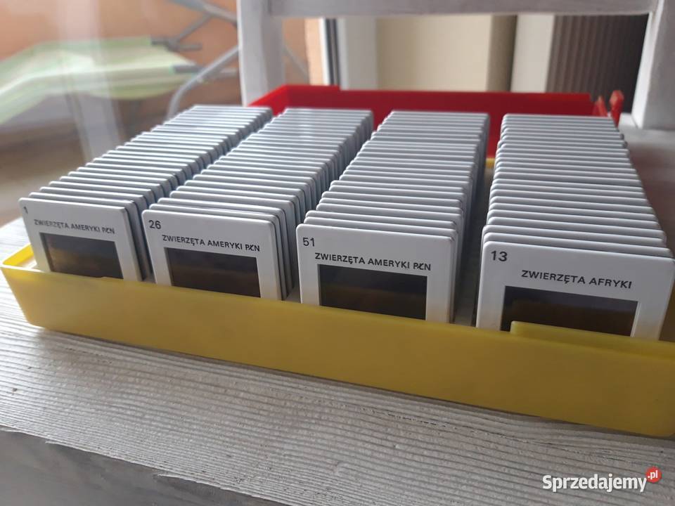 Przeźrocza Zwierzęta Półn Amerykańskie Bielsko-Biała