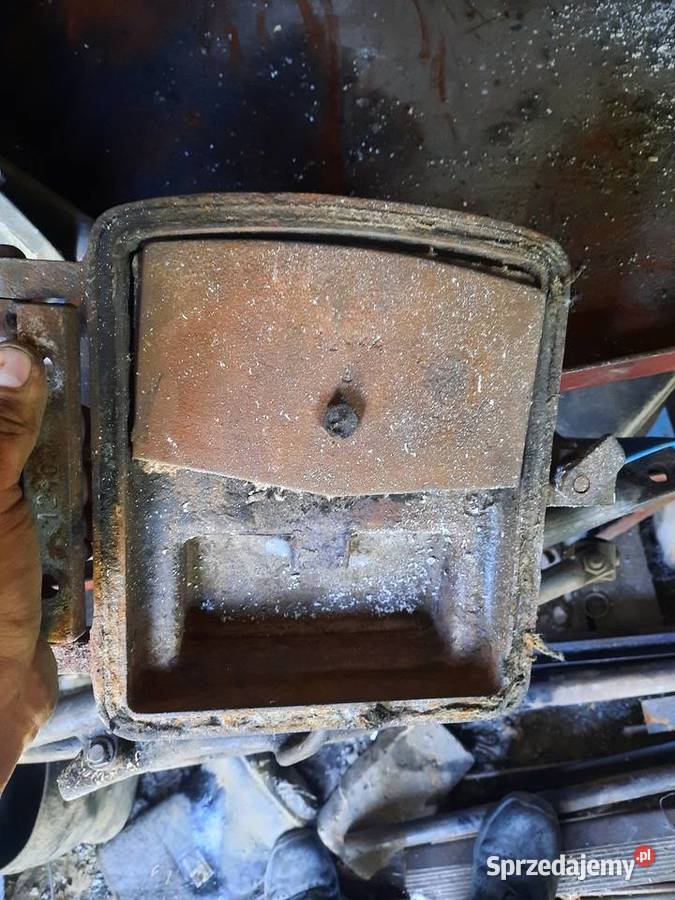 Kamino zebiec Ciechanów