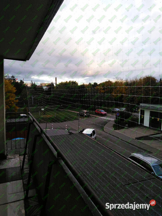 Zabezpieczenie Balkonu Kota Warszawa Siatka Na