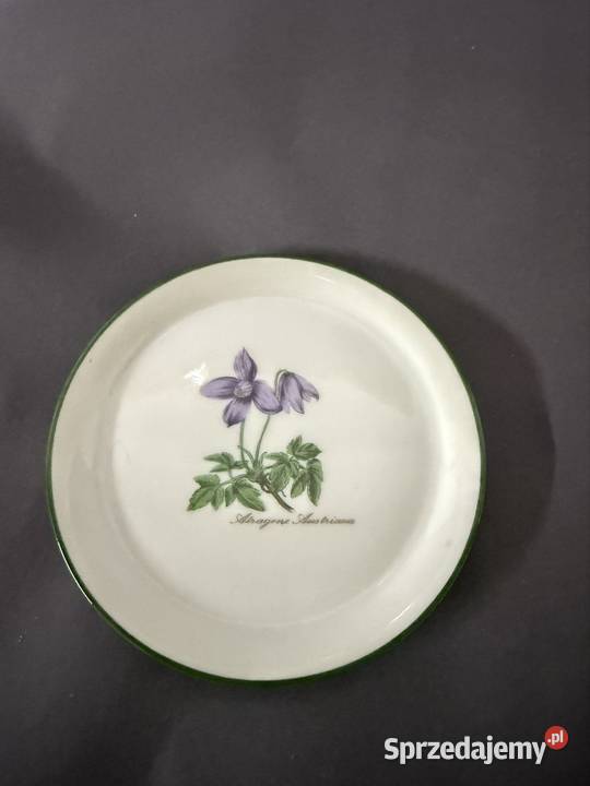 Talerzyki botaniczne