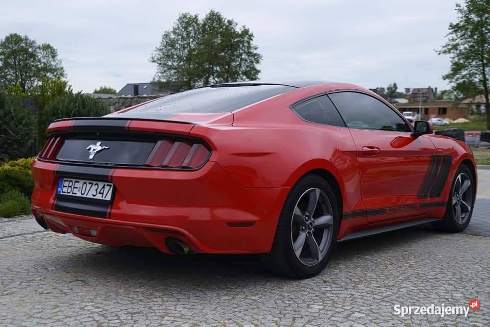 Mustang 37 V6 310 Zarejestrowany w Polsce Bełchatów
